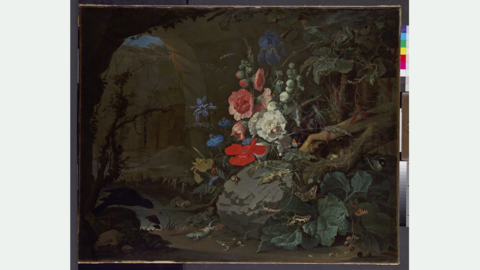 Stillleben von Blumen, Insekten und Tieren im Wald